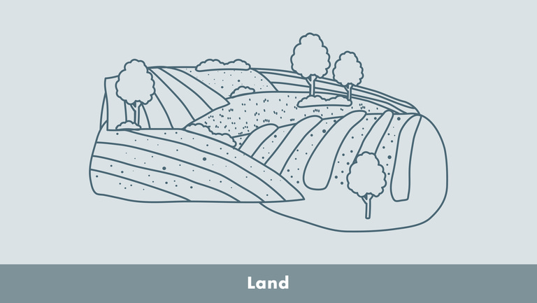 Agricultural Land